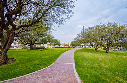 4.2 Ha. de áreas verdes