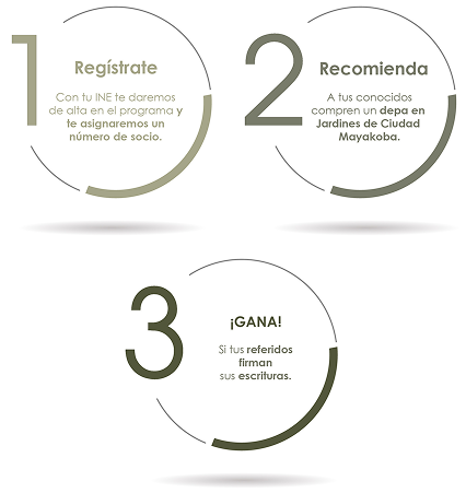 mobile_pasos